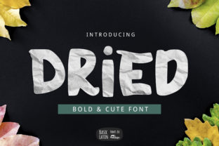 Dried: A Bold Display Font for Digital Design
