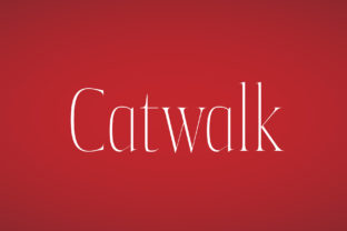 How Catwalk Elevates Your Brand’s Visual Story